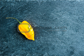 Closeup on yellow chili pepper on stone substrate