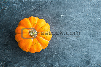 Closeup on pumpkin on stone substrate