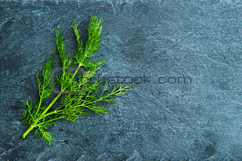 Closeup on dill on stone substrate