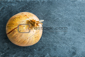 Closeup on onion on stone substrate