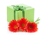 Orange gerbera flowers and gift box