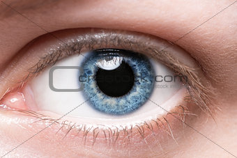 Close up blue eye 