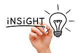 Insight Light Bulb Concept