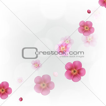 Pastel Flowers Wallpaper