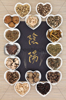 Yin Yang Chinese Medicine