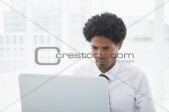 Concentrated businessman looking his laptop