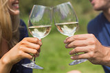 Cute couple toasting with white wine