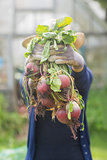 Woman showing home grown vegetables
