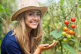 Pretty blonde looking at tomato plant