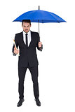 Businessman holding file under a blue umbrella
