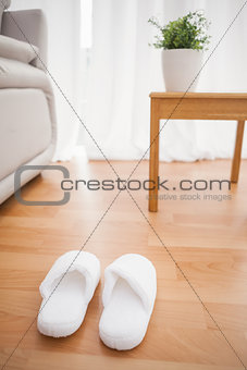 Fluffy slippers on the floor
