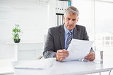 Mature businessman looking at document