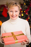 Smiling active seniors holding a gift at christmas