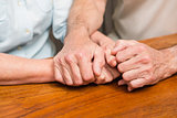 Senior couple holding hands on table