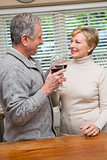 Senior couple drinking red wine
