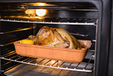 Close up of roast turkey in oven for christmas dinner