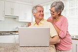 Senior couple using the laptop together