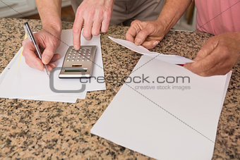 Senior couple paying their bills