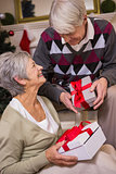 Senior couple sitting beside their christmas tree