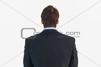 Rear view of businessman standing