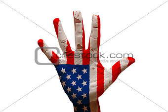 palm flag united states