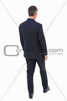 Rear view of a businessman posing