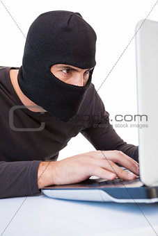 Focused burglar hacking into laptop