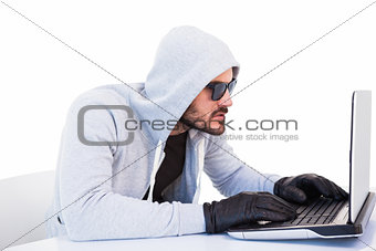 Serious burglar hacking into laptop