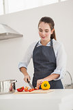 Pretty brunette cooking a healthy meal
