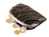 Purse with coins