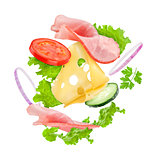 Delicious sandwich ingredients in the air on an isolated white b