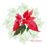 Background  with bouquet of  Christmas poinsettia