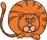 fat cat character cartoon illustration