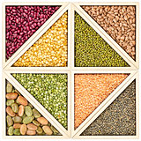 bean, pea and lentil abstract