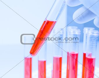 hand in blue glove is holding test tube with red liquid in laboratory 