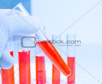 hand in glove is holding test tube with red liquid in laboratory 