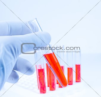 hand in medical blue glove is holding test tube with red liquid in laboratory 