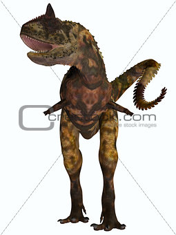 Carnotaurus Front Profile