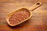 gluten free quinoa grain 