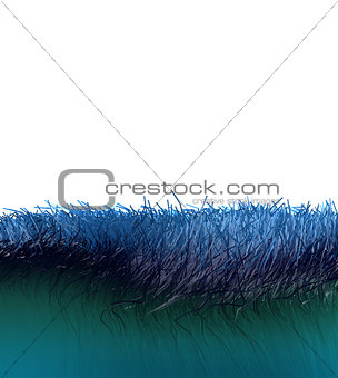 blue grass hair over white background