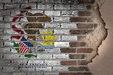 Dark brick wall with plaster - Illinois