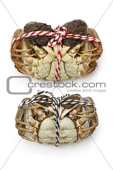 raw shanghai hairy crabs(male and female) ,ventral side