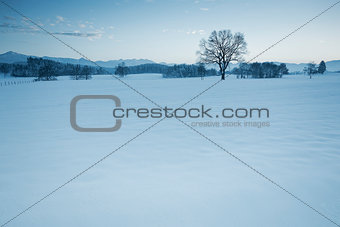 winter scenery