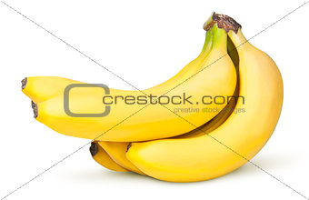 Bunch Of Bananas Upend