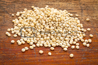 white sorghum grain