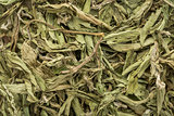 stevia dried leaves