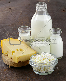 assortment of dairy products (milk, cheese, sour cream, yogurt)