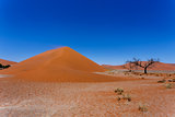 Dune 45 in sossusvlei NamibiaDune 45 in sossusvlei Namibia, view