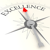 Excellence compass