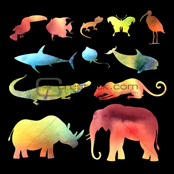 watercolor vector different animals